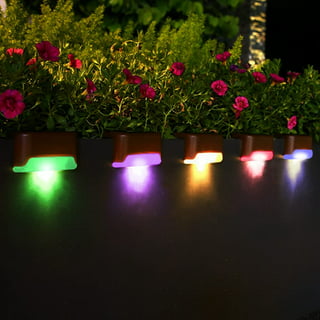 AURAXY LED Decorative Solar Outdoor Lighting
