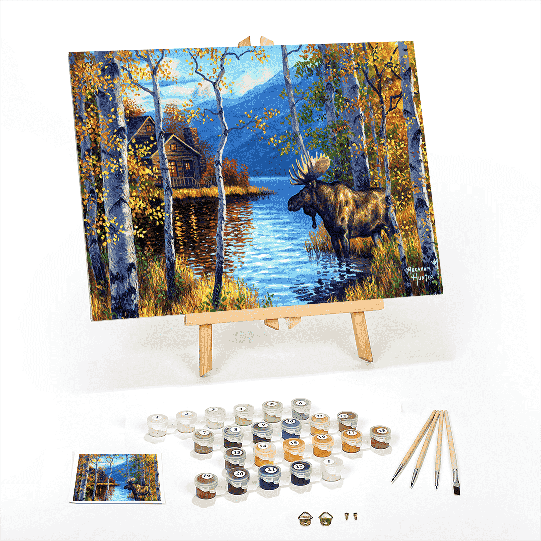 Ledgebay Paint by Number for Adults Beginner, Pre-Framed DIY Kit on ...