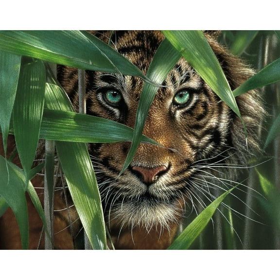 Ledgebay Paint by Number Kit for Adults, Unframed (Bamboo Tiger)