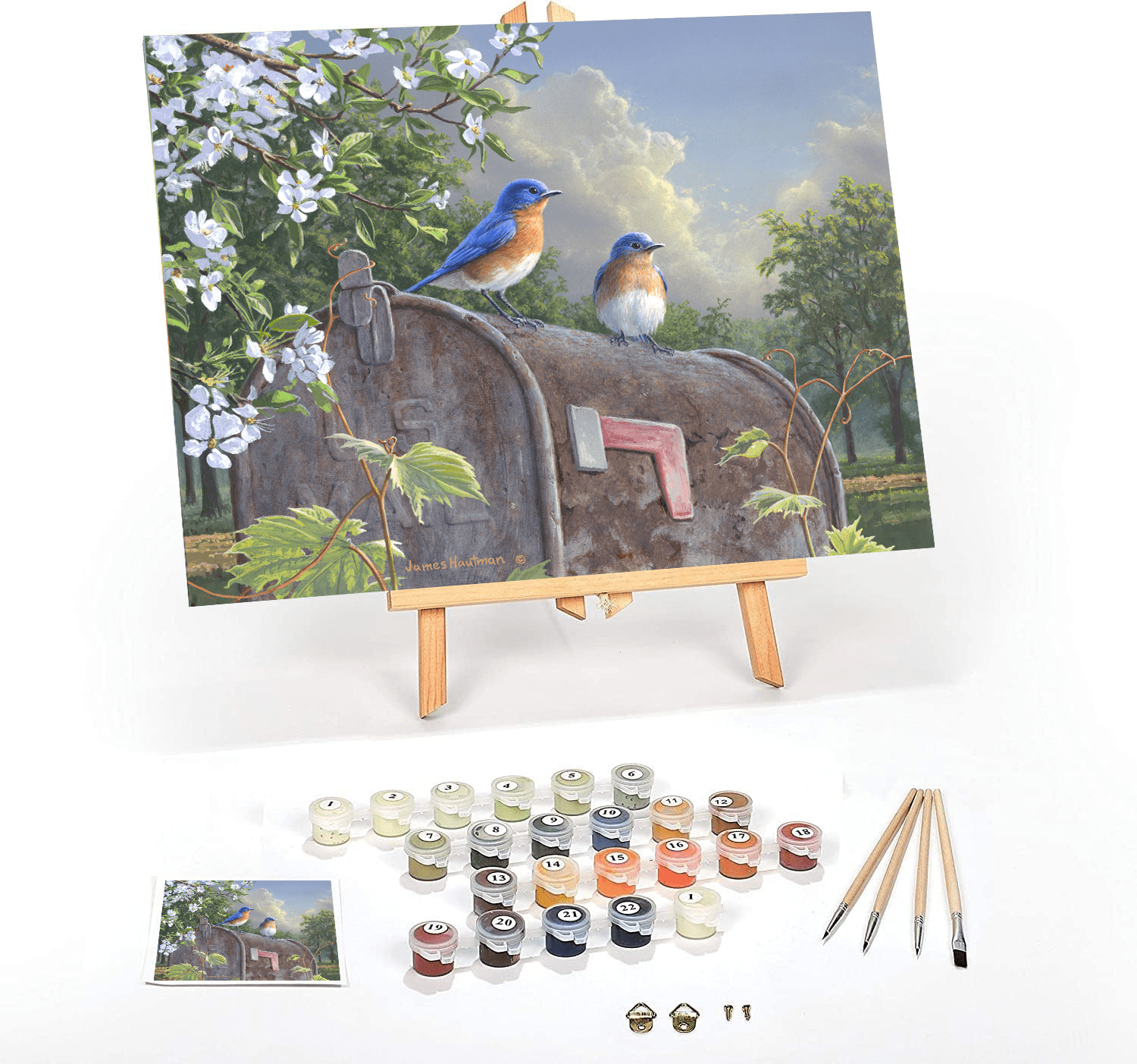 Ledgebay Paint by Number for Adults Craft Kits Rural Route Bluebirds