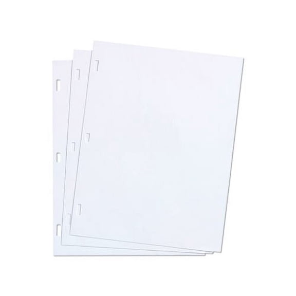 Ledger Sheets for Corporation and Minute Book White, 11 x 8-1/2, 100 Sheets