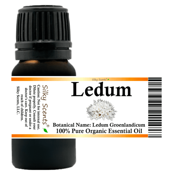 Ledum Organic Essential Oil 5 ml (1/6 fl oz) - 100% Pure and Natural by Silky Scents