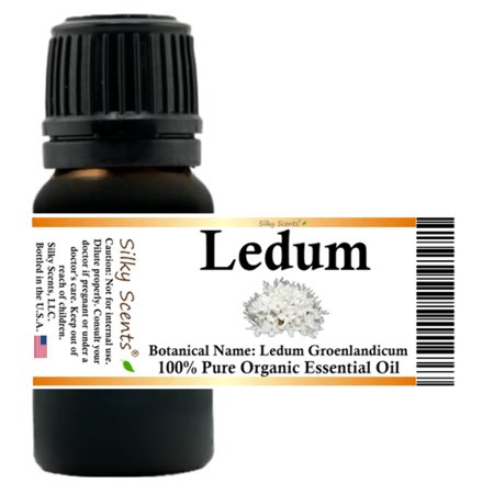 Ledum Organic Essential Oil (Ledum groenlandicum - Labrador Tea - Greenland Moss) 100% Pure and Natural - 5 ML