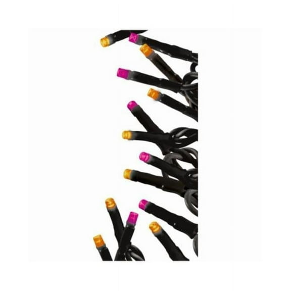 Ledup Manufacturing Group 116115 100 Twinkle Lights, Orange & Purple - Pack of 12