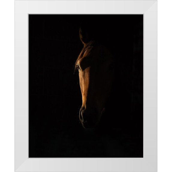 Lee Chapman, Sharon 12x14 White Modern Wood Framed Museum Art Print Titled - The Beauty of The Thoroughbred