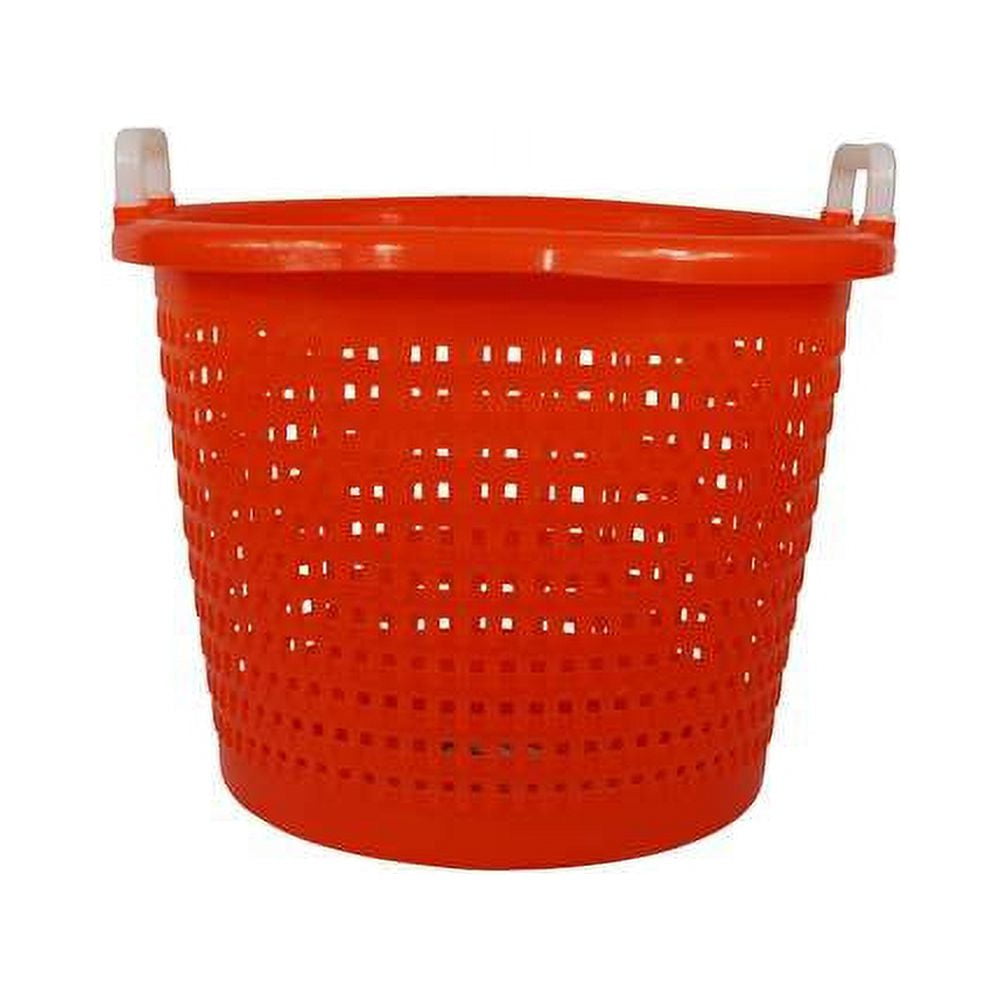 Lee Fisher 16" x 12" Orange Fish Basket