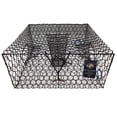 thumbnail image 2 of Sporty XL 24x18 Folding Crab Trap With 60' Non-Tangle Rope - FREE SHIPPING 2 of 4