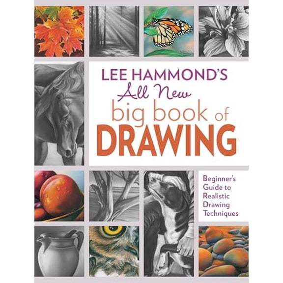 Pre-Owned Lee Hammond's All New Big Book of Drawing: Beginner's Guide to Realistic Drawing Techniques (Paperback) 1440343098 9781440343094