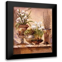 Lee, James 12x14 Black Modern Framed Museum Art Print Titled - Floral Elegance 2