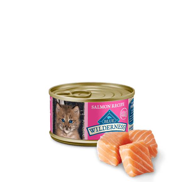 BLUE BUFFALO KITTEN FOOD SALMON 3 oz (Pack of 24)