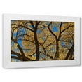 thumbnail image 1 of Lee Peterson 14x11 White Modern Wood Framed Wall Art Titled - Fall Leaves VII, 1 of 5