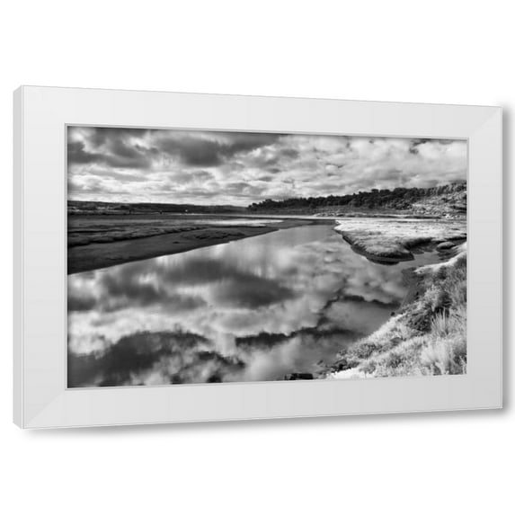 Lee Peterson 14x11 White Modern Wood Framed Wall Art Titled - Infrared Reflections