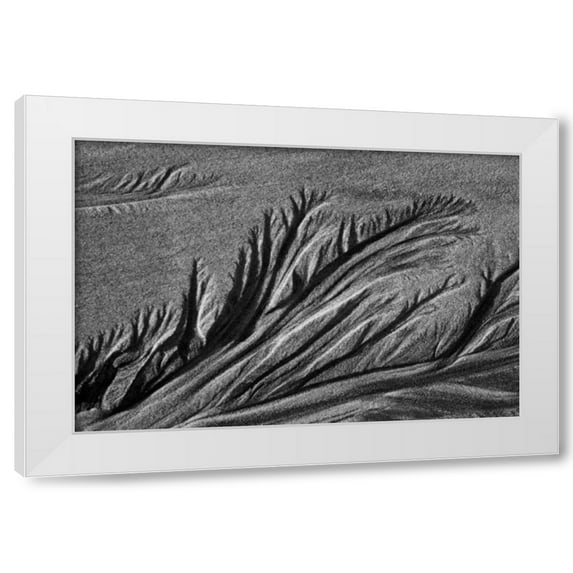 Lee Peterson 14x11 White Modern Wood Framed Wall Art Titled - Texture Sand III