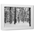 thumbnail image 1 of Lee Peterson 14x12 White Modern Wood Framed Wall Art Titled - Tree II, 1 of 5
