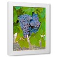 thumbnail image 1 of Lee Peterson 4x24 White Modern Wood Framed Wall Art Titled - Cougar Winery Grapes I, 1 of 5