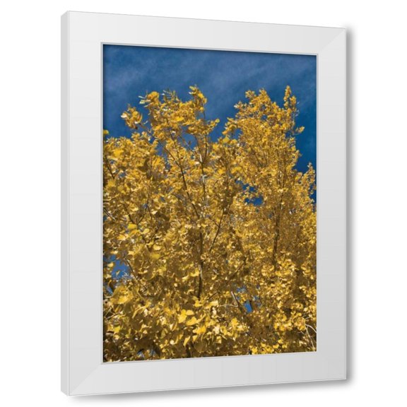 Lee Peterson 4x24 White Modern Wood Framed Wall Art Titled - Fall Leaves I