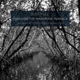 thumbnail image 1 of Lee - Through the Mangrove Tunnels - Music & Performance - CD, 1 of 2