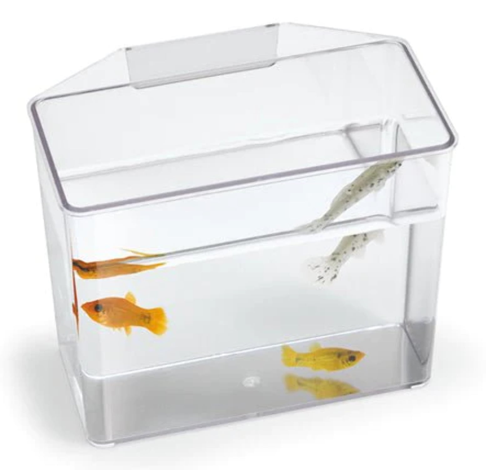 Lee's Aquarium Specimen Container, Break Resistant - Walmart.com