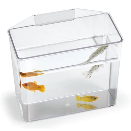 Lee's Aquarium Specimen Container, Break Resistant
