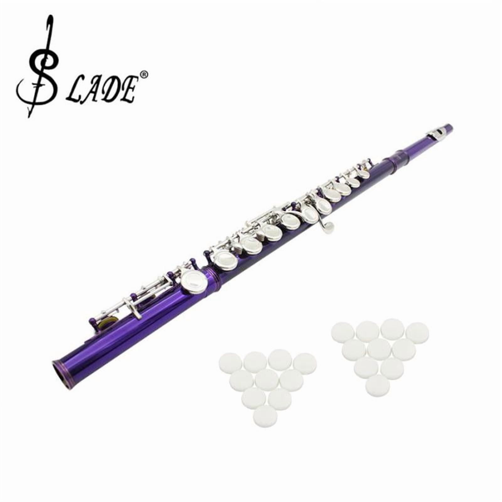 LeeQinersw 16 Hole Cupronickel Tube C Key Flute With 20 Pieces Key Plugs Purple