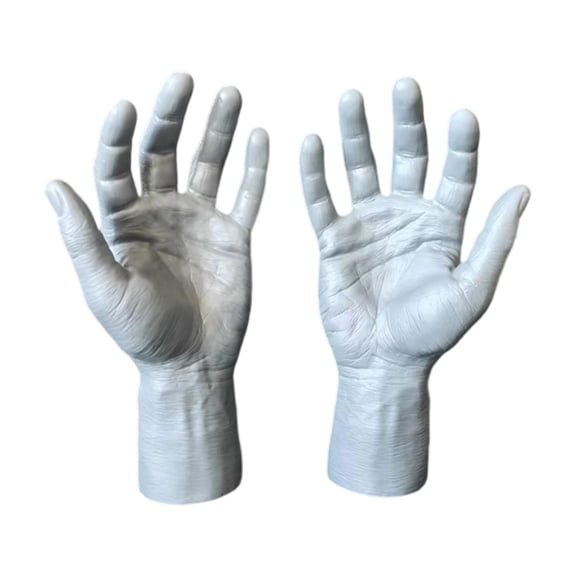 LeeQinersw 2 Pieces Male Hand Mannequin Halloween Decor Multifunctional Lifelike Hand Models Fake Hands for Cosplay Practice Party Store