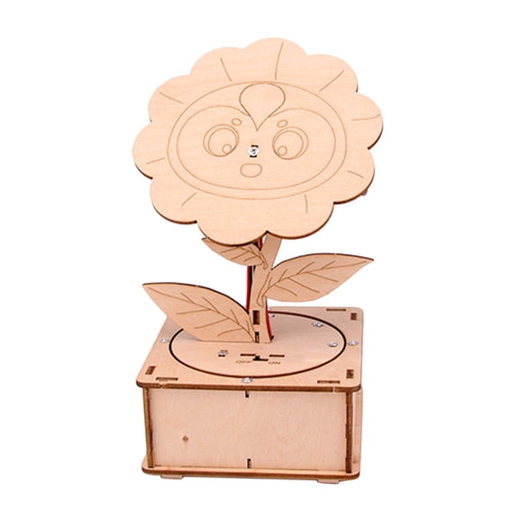 LeeQinersw 3D Wooden Puzzle, DIY wooden Science Experiment Kits, Physical Science Practical