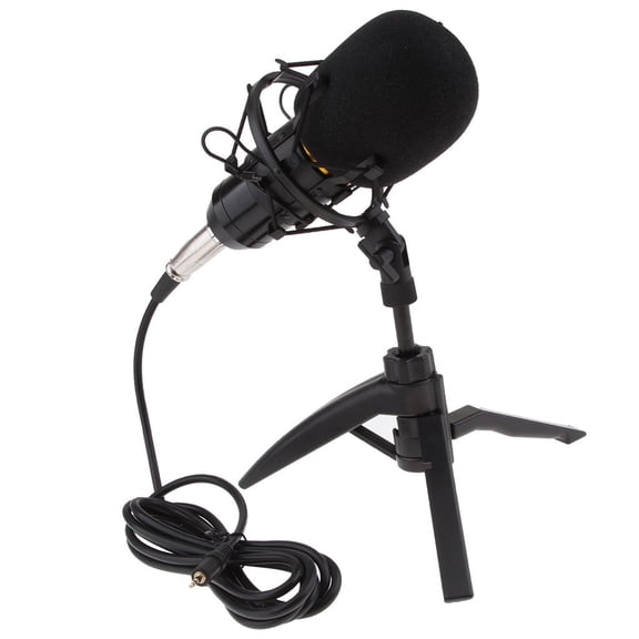 LeeQinersw Cardioid Condenser Microphone for Conference Room Meetings Singing Broadcasting Black