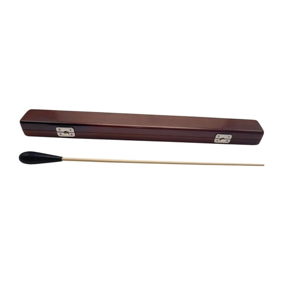 LeeQinersw Conductor's Wooden Flute for Adults. Unique Musical Pieces. Professional Set Black Handle