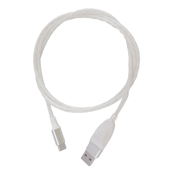 LeeQinersw Cool LED Light UP USB Type C Cable, EL Light Visible Glowing Fast Charging Cable