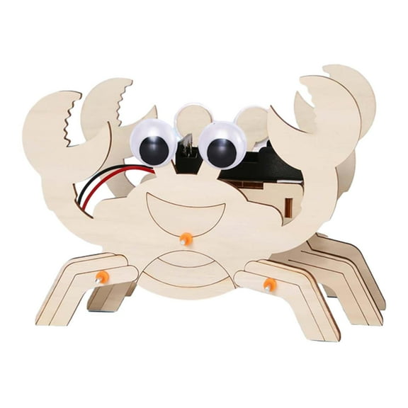 LeeQinersw DIY Sciences Kits Educational Technology Handcrafted Developmental Project Model