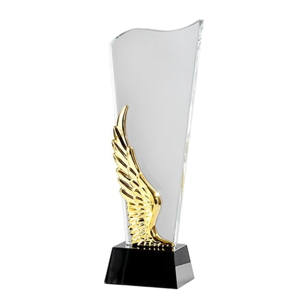 LeeQinersw Employee Appreciation Award Clear Glass Office for Coworker Thank You Trophy