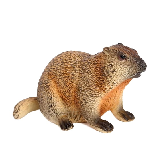 LeeQinersw Groundhog Toy Home Decoration Lifelike Simulation Animal Model Ornament Figurine Style C