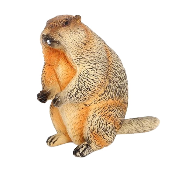 LeeQinersw Groundhog Toy Home Decoration Lifelike Simulation Animal Model Ornament Figurine Style D