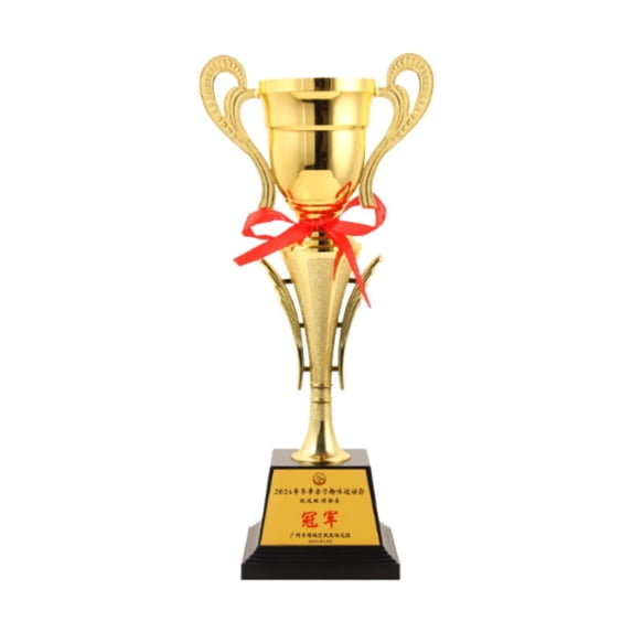LeeQinersw Large Trophy Cup Gold Tournament Winning Prizes Graduation Parties Reward Prize C