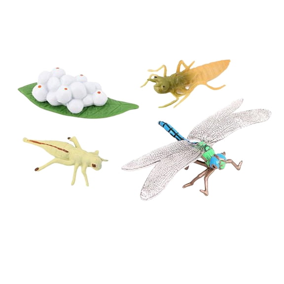 LeeQinersw Life Cycle Figurines ,Dragonfly ,Red Eyed Tree Frog Figures ,Animal Growth Cycle