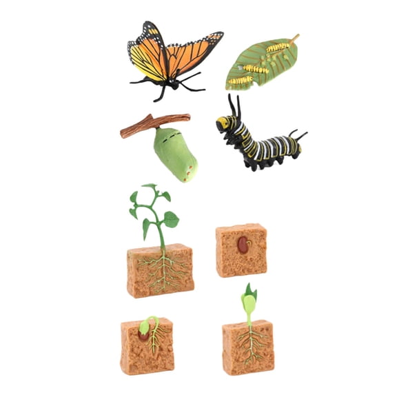 LeeQinersw Life Cycle Figurines Toy Set Butterfly and Bean Plants Gift Lifelike Science Toy
