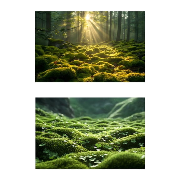 LeeQinersw Photo Background Photography Backdrop Double Sided Displays Jungle 57x87cm Photo Style C