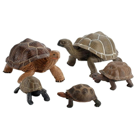 LeeQinersw Realistic Turtle Figurine Animal Model Figures Action Figures Turtle Toys Model