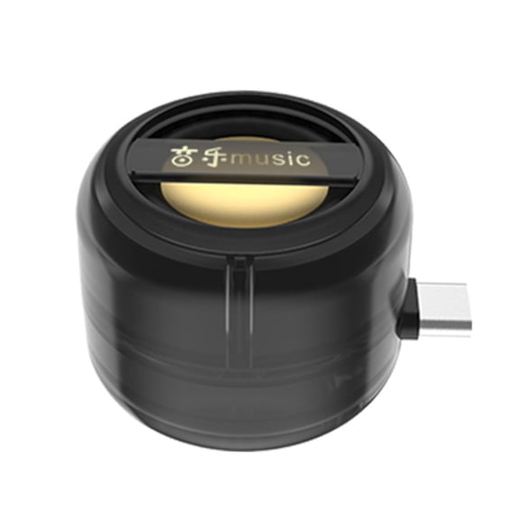 LeeQinersw USB-C Mini Phone Speaker Plug and Play w/ Clear Bass Black Black