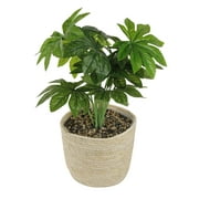 Leejay 19 inch Artificial Leaf Plant in Basket for Home Decor Indoor,Green