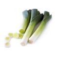 thumbnail image 1 of Leeks - Allium porrum - Herb/Veggie -  Live Plant - 3" Pot, 1 of 2