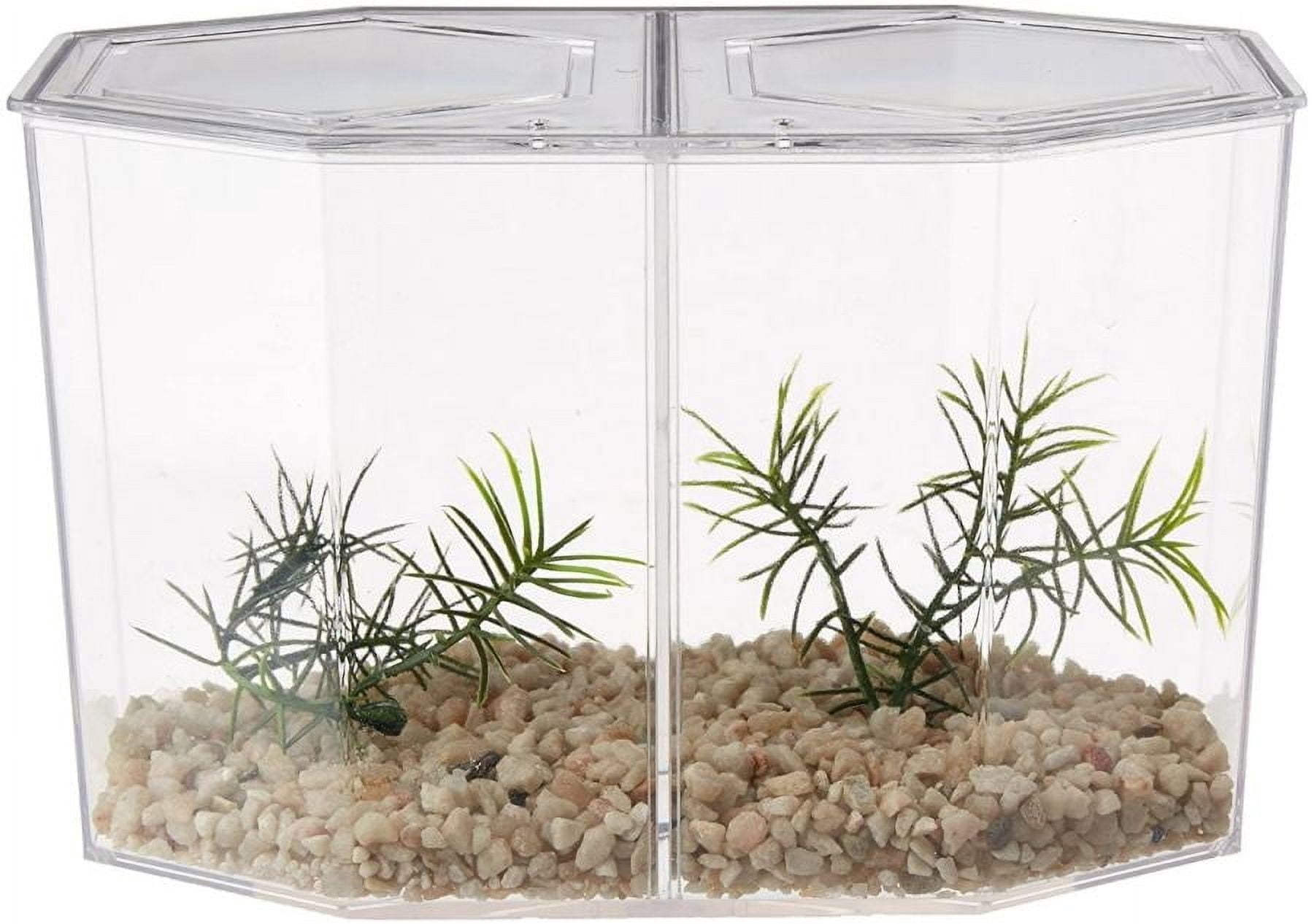 Lees Betta Hex Dual [Aquarium, Bowls Plastic] Betta Hex Dual