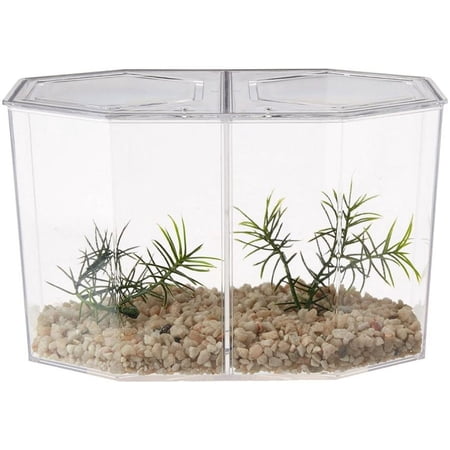 Lees Betta Hex Dual [Aquarium, Bowls Plastic] Betta Hex Dual