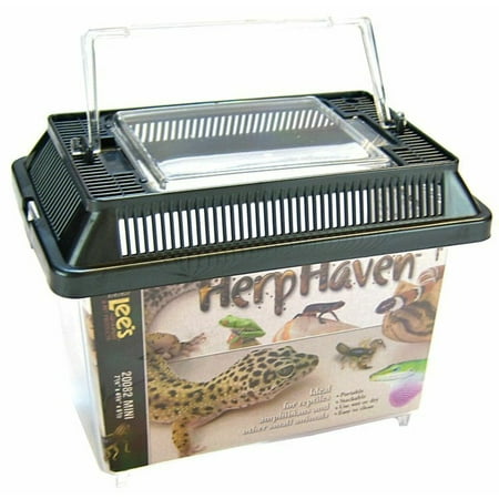 " Lees " - HerpHaven Terrarium - Rectangular Mini - 7.1"L x 4.4"W x 5.5"H