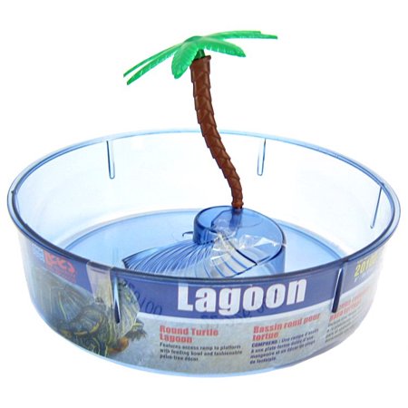 Lees Round Turtle Lagoon with Access Ramp to Feeding Bowl and Palm Tree Decor
