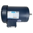 thumbnail image 1 of Leeson General Purpose Motor,2 hp,5.8/2.9 A 116744.00, 1 of 1