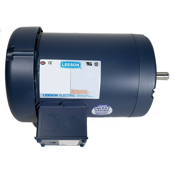 Leeson General Purpose Motor,2 hp,5.8/2.9 A 116744.00