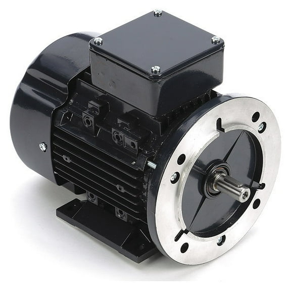 Leeson GP Motor,1/2 HP,1,695 RPM,230/460V AC,71 071T17FH5508