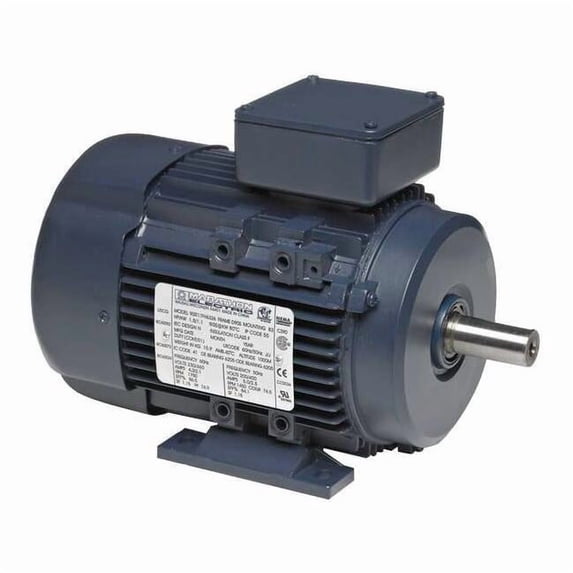 Leeson GP Motor,1/3 HP,3,430 RPM,230/460V AC,63 063T34FH5302
