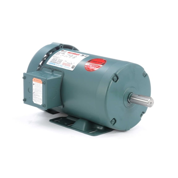 Leeson General Purpose Motor,3 hp,8.0/4.0 A 121968.00